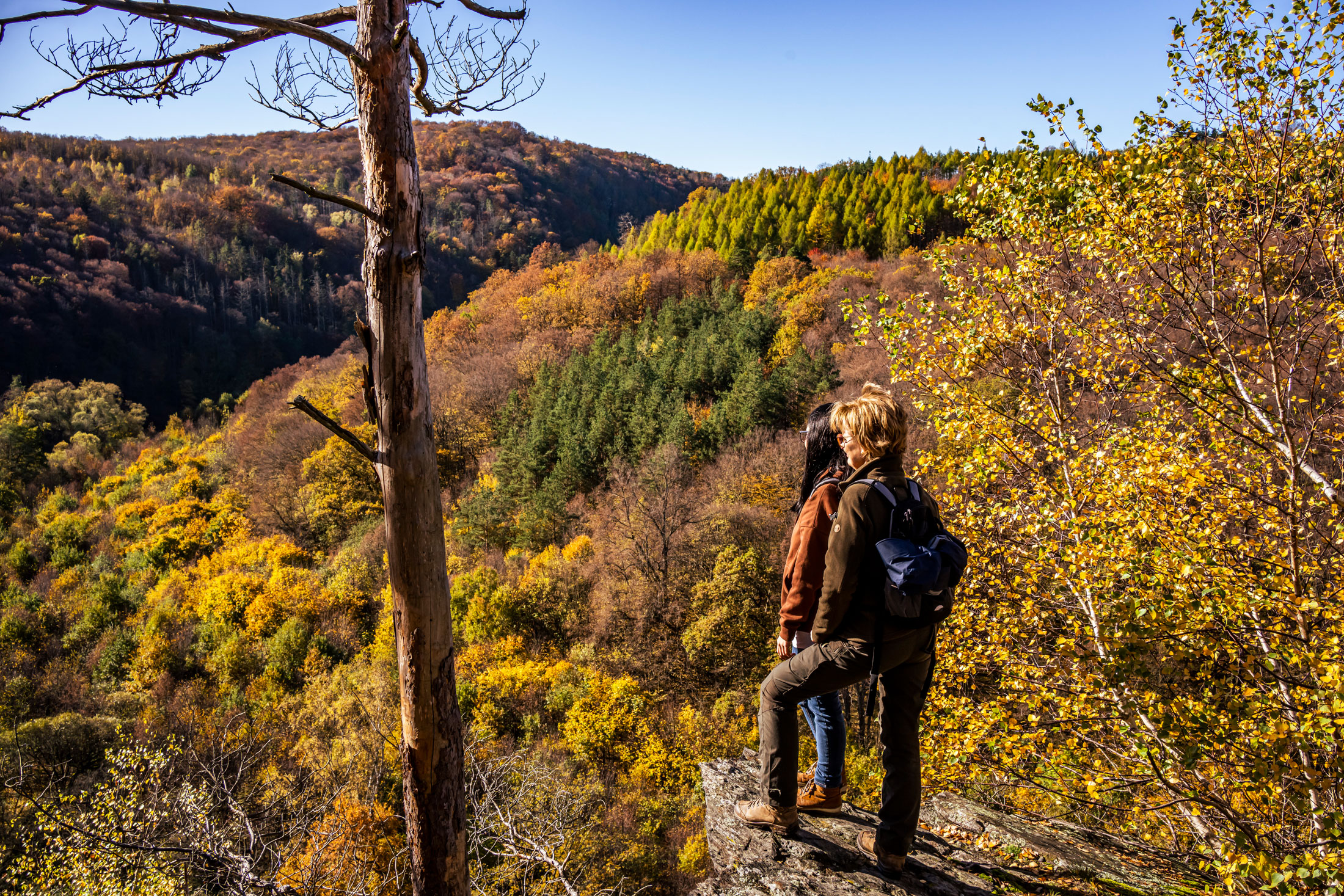 Nationalpark Thayatal Im Waldviertel